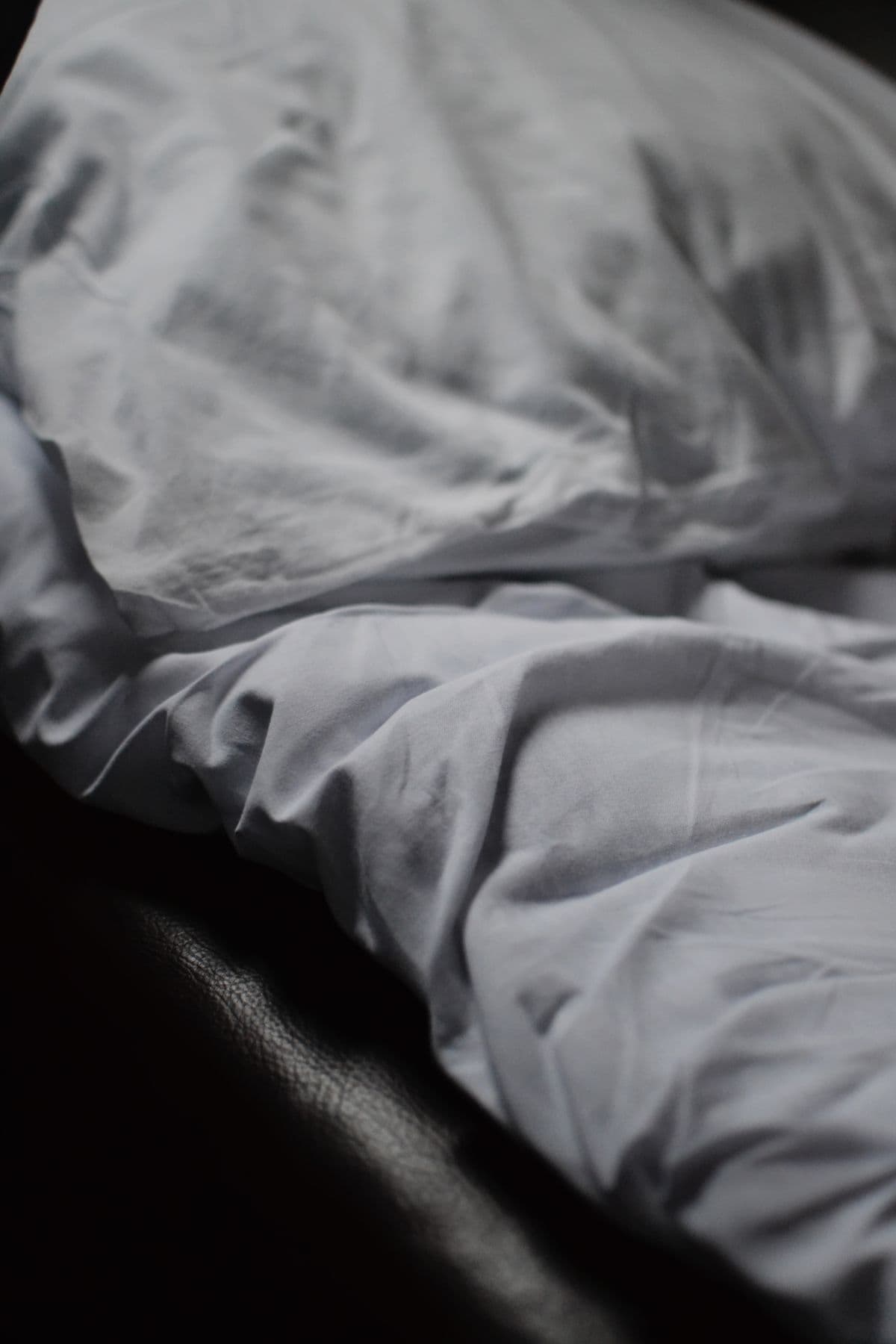 Bed bugs in holiday lets