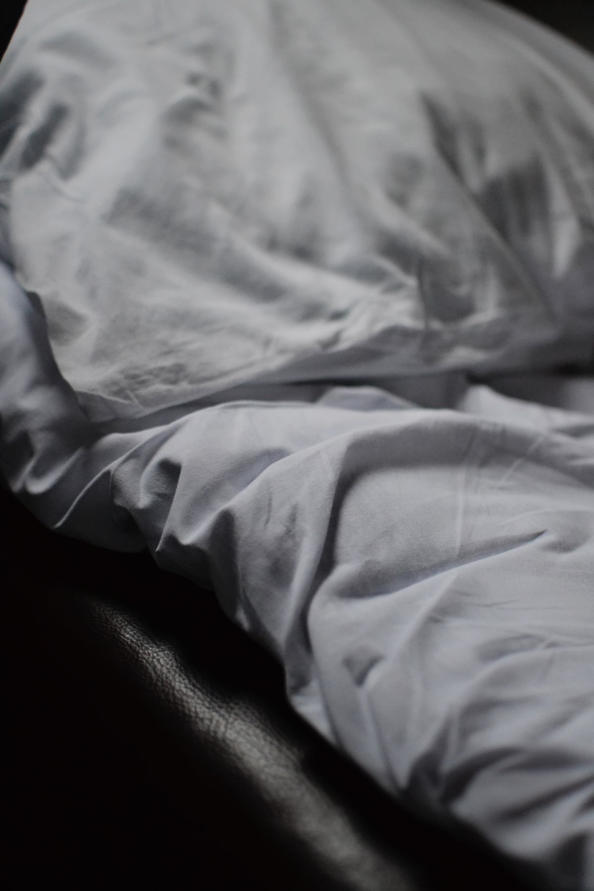 Bed bug control